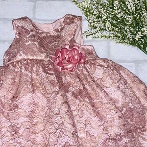Blush lace 2t girl dress